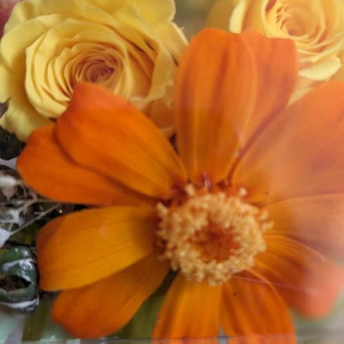 �v���U�[�u�h�t�����[�y�����r�z3