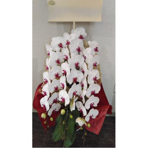 �Ӓ����i3�{���āj�ԃ��b�v