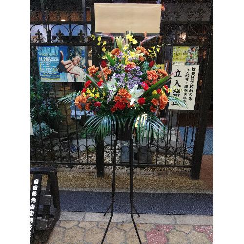 �X�^���h��