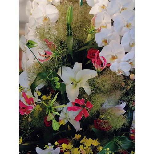 �A�����W2