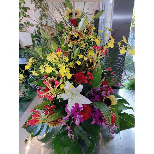 �A�����W