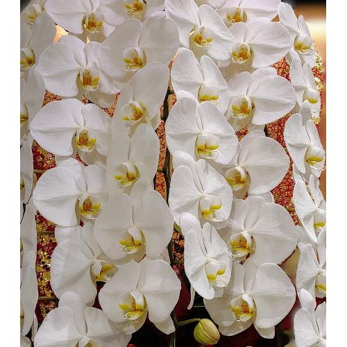 �Ӓ����i3�{���āj2