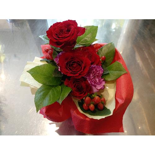 �Ԃ��o���ƐԂ̃q�y���J���̃A�����W�B