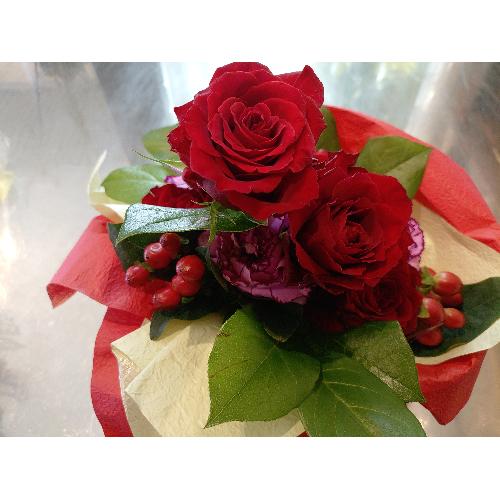 �Ԃ��o���ƐԂ̃q�y���J���̃A�����W�B2