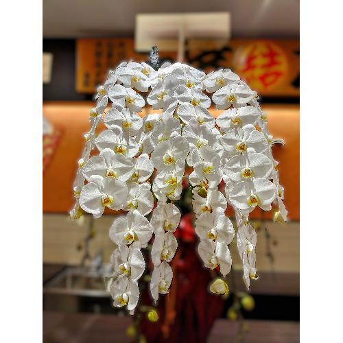 �Ӓ����i5�{���āj