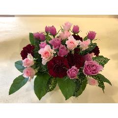 母の日 フラワーデザイナーギフト一覧｜花の贈り物(プレゼント
