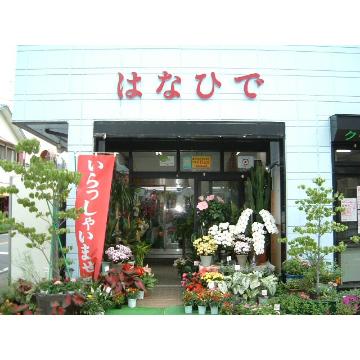 �X�܊O�ω摜