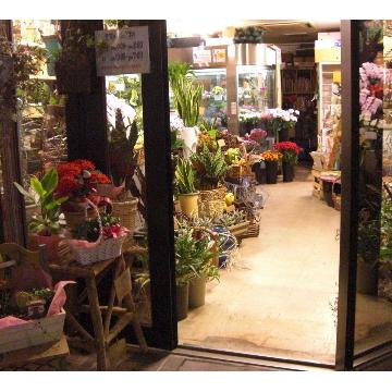 愛知県安城市の花屋 パッショーネ をご紹介 フラワーギフトはプロのお花屋さんにおまかせ フジテレビフラワーネット
