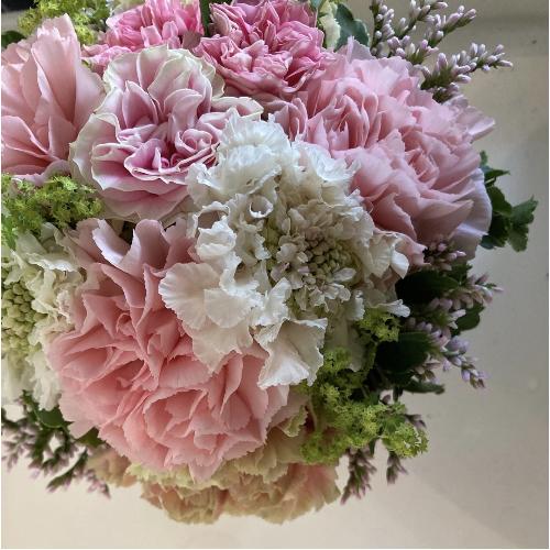 BFpink