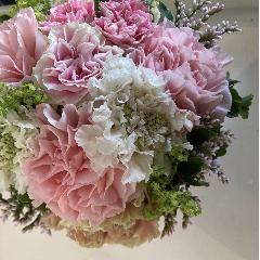 BFpink