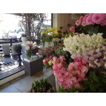 東京都府中市の花屋 有 花よし をご紹介 フラワーギフトはプロのお花屋さんにおまかせ フジテレビフラワーネット