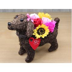 Dog@tOXG}GRt[