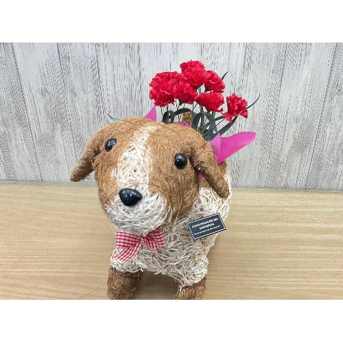 �f�R���@�ԃJ�[�l3