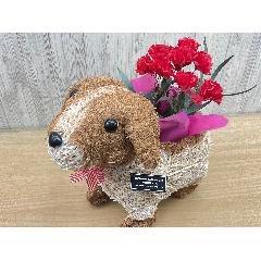 �f�R���@�ԃJ�[�l