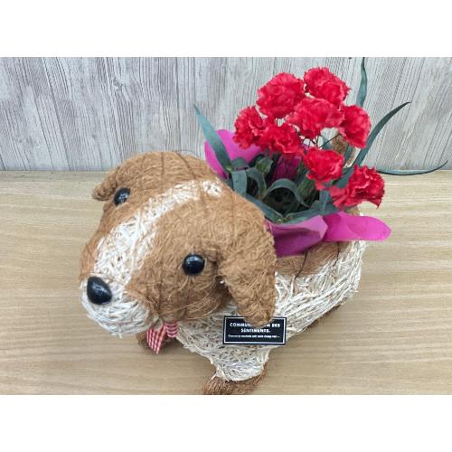 �f�R���@�ԃJ�[�l