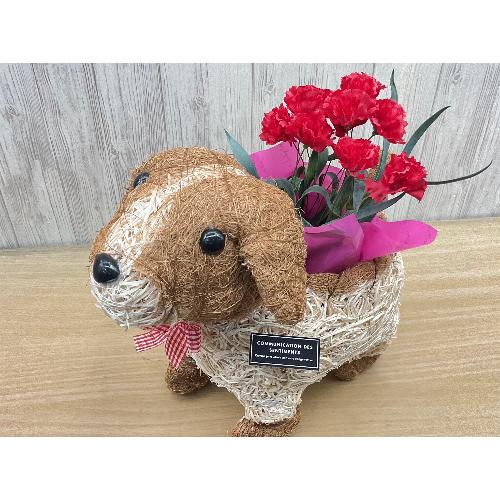 �f�R���@�ԃJ�[�l4