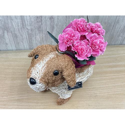 �f�R���@�s���N�J�[�l2