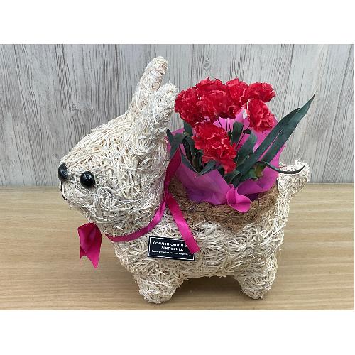 �E�T�M�̂��U���@�ԃJ�[�l2