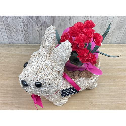 �E�T�M�̂��U���@�ԃJ�[�l3