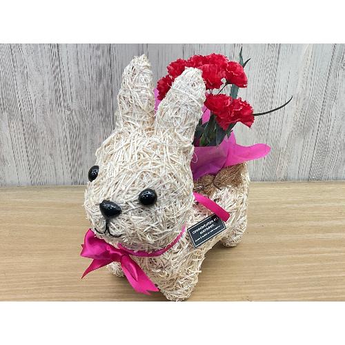 �E�T�M�̂��U���@�ԃJ�[�l4