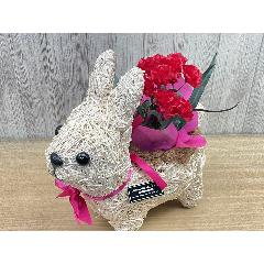 �E�T�M�̂��U���@�ԃJ�[�l