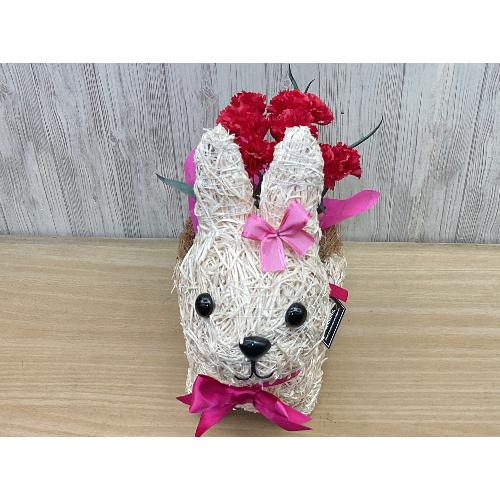 �E�T�M�K�[���̂��U���@�ԃJ�[�l2