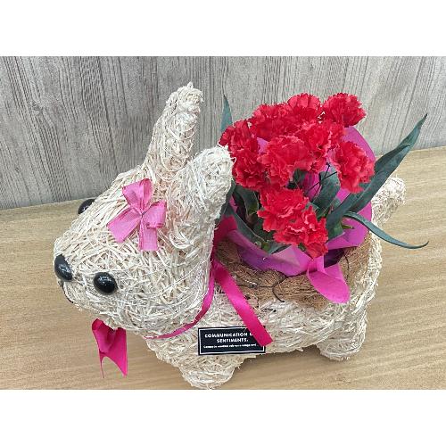 �E�T�M�K�[���̂��U���@�ԃJ�[�l3