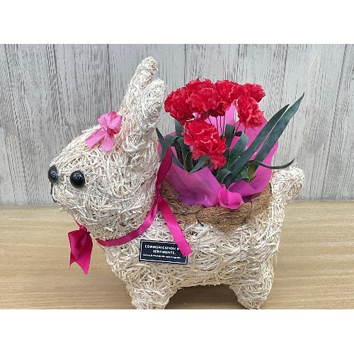 �E�T�M�K�[���̂��U���@�ԃJ�[�l4