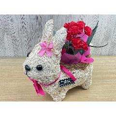 �E�T�M�K�[���̂��U���@�ԃJ�[�l