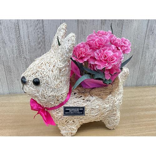 �E�T�M�̂��U���@�s���N�J�[�l