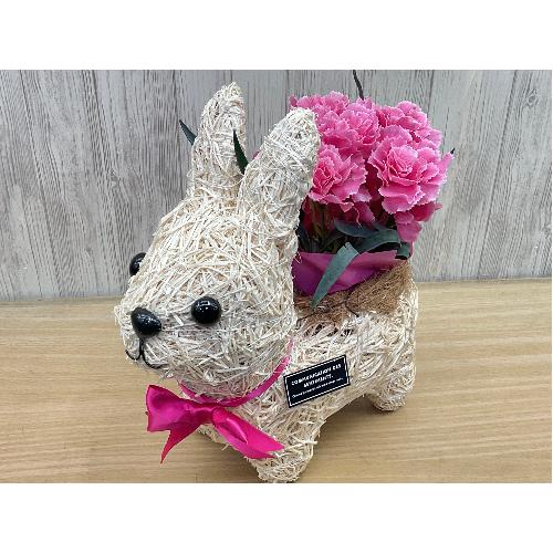 �E�T�M�̂��U���@�s���N�J�[�l2