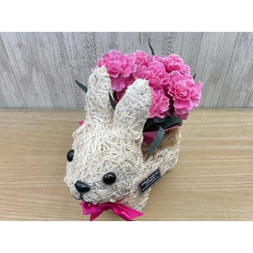 �E�T�M�̂��U���@�s���N�J�[�l3