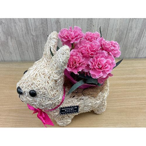 �E�T�M�̂��U���@�s���N�J�[�l4