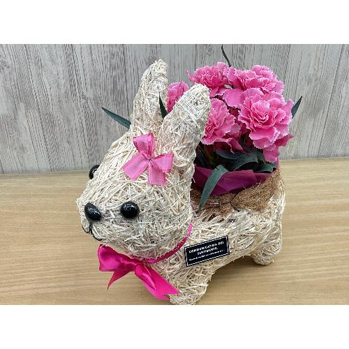 �E�T�M�K�[���̂��U���@�s���N�J�[�l