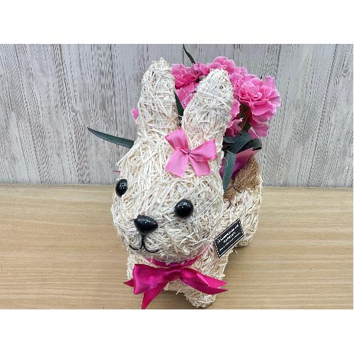 �E�T�M�K�[���̂��U���@�s���N�J�[�l2