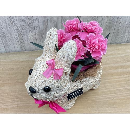 �E�T�M�K�[���̂��U���@�s���N�J�[�l3