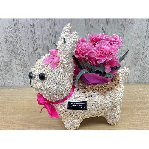 �E�T�M�K�[���̂��U���@�s���N�J�[�l4