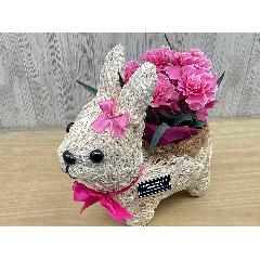 �E�T�M�K�[���̂��U���@�s���N�J�[�l