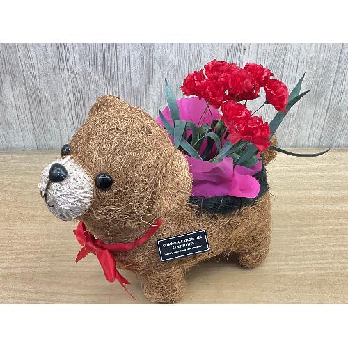 �N�}�̂��U���@�ԃJ�[�l