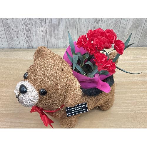 �N�}�̂��U���@�ԃJ�[�l2