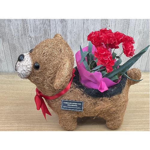 �N�}�̂��U���@�ԃJ�[�l3