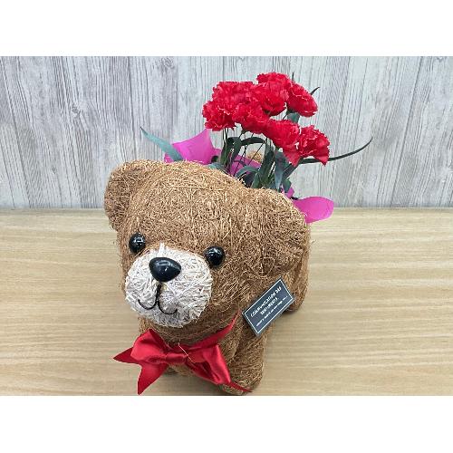 �N�}�̂��U���@�ԃJ�[�l4