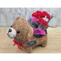 �N�}�̂��U���@�ԃJ�[�l