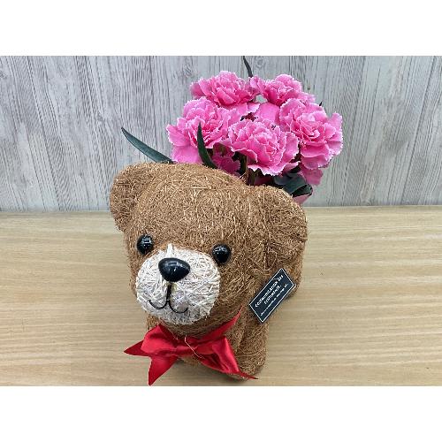 �N�}�̂��U���@�s���N�J�[�l4