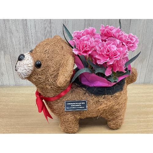 �N�}�̂��U���@�s���N�J�[�l3