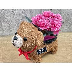 �N�}�̂��U���@�s���N�J�[�l