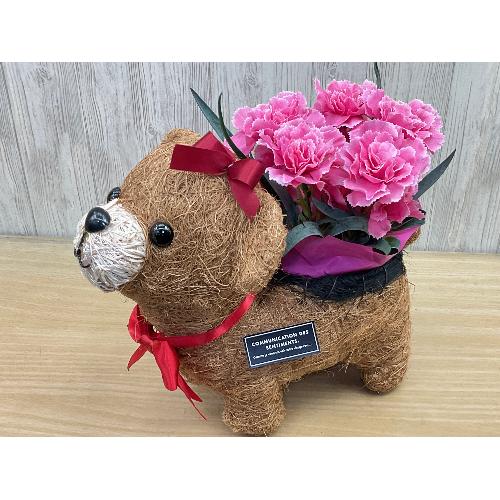 �N�}�K�[���̂��U���@�s���N�J�[�l2