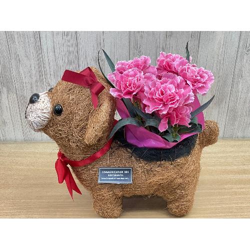 �N�}�K�[���̂��U���@�s���N�J�[�l3