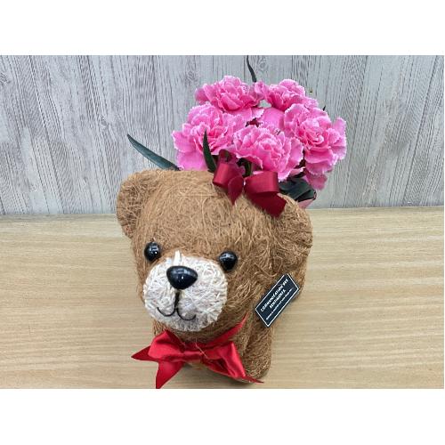 �N�}�K�[���̂��U���@�s���N�J�[�l4