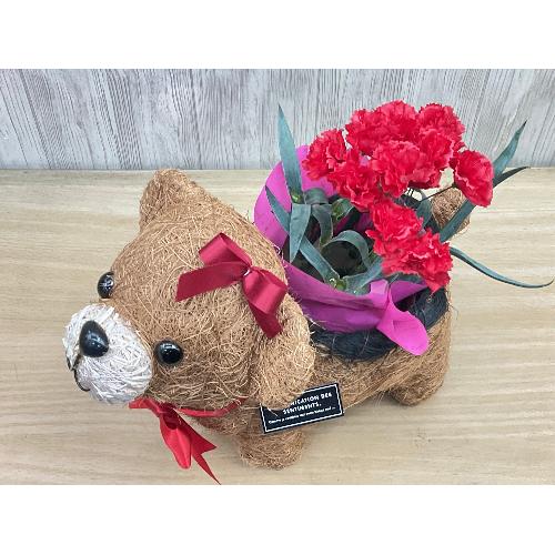 �N�}�K�[���̂��U���@�ԃJ�[�l3